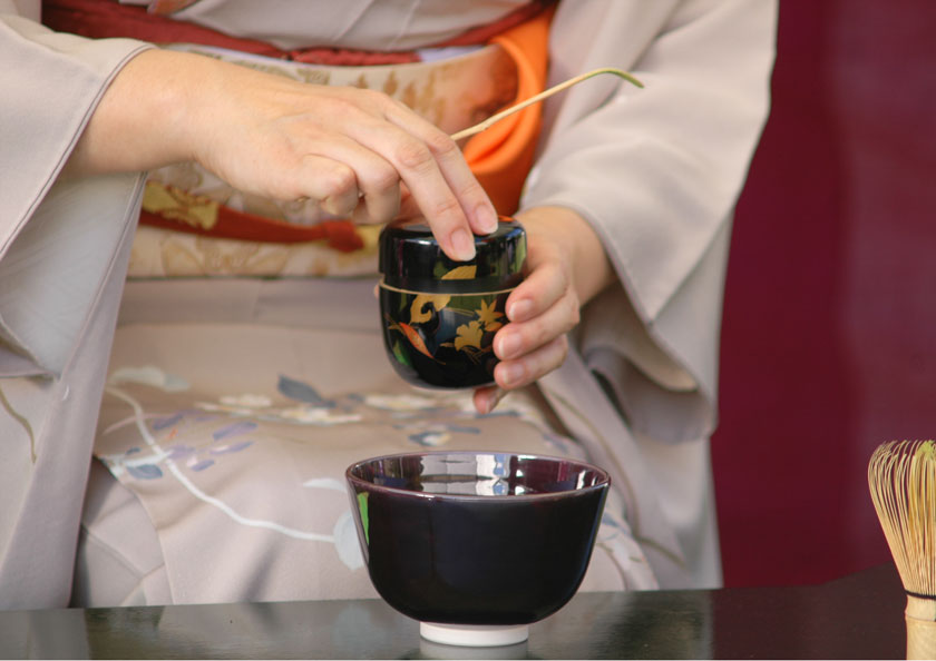 薄茶器（うすちゃき） 茶道具｜千年の香り 千紀園