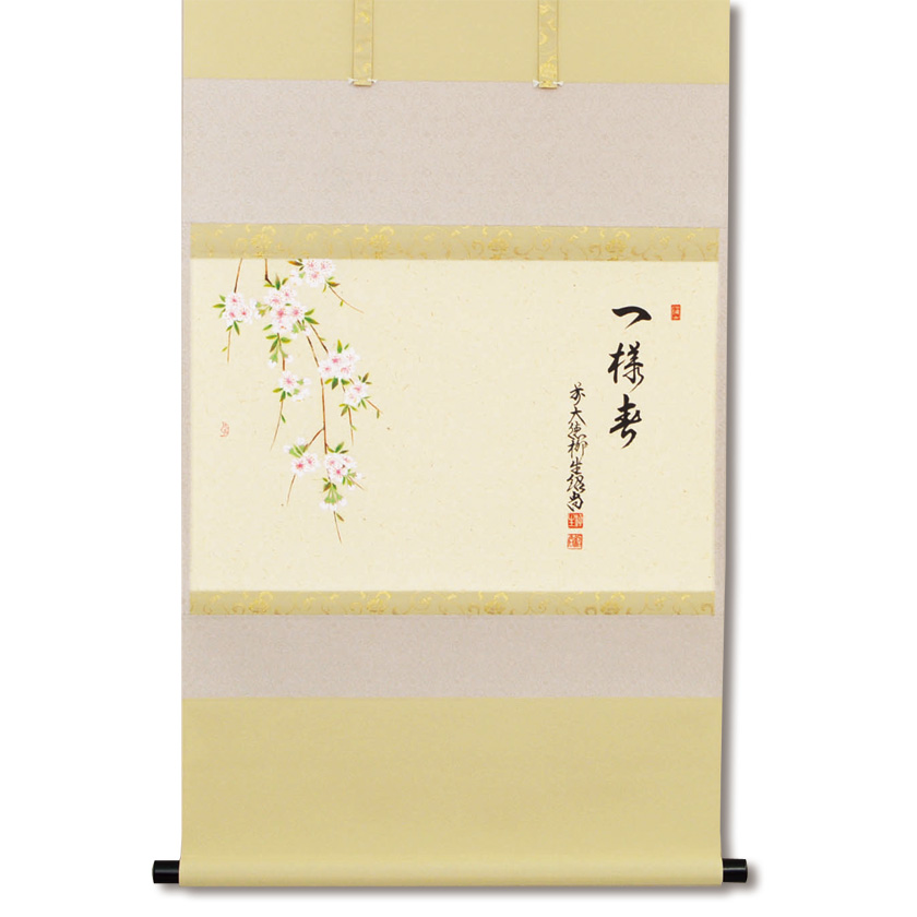 茶道具 掛軸（かけじく） 軸横物画賛 枝垂桜の図 「一様春」 橋本紹尚 